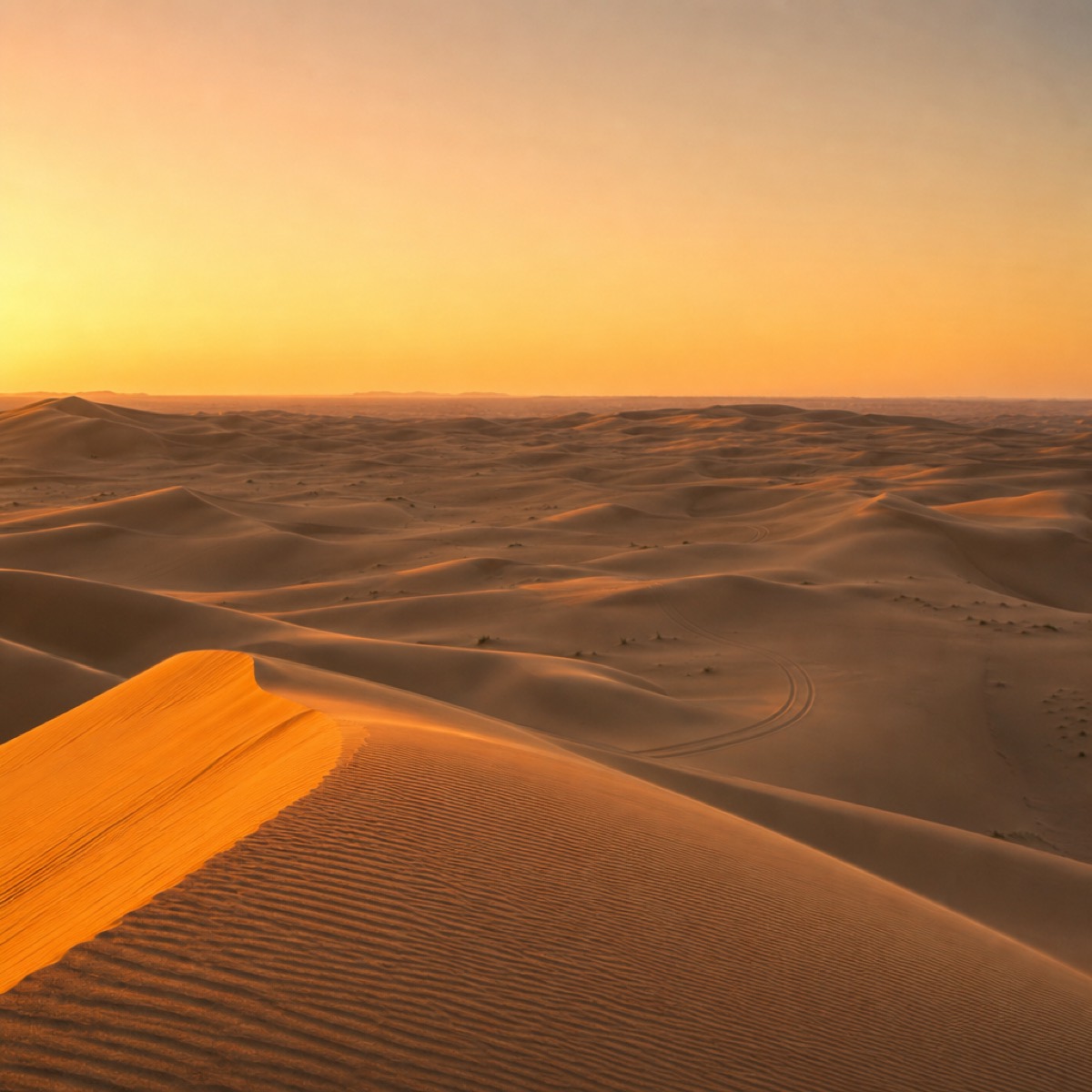 Golden desert dunes at sunset